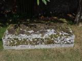 image number DSC_4100